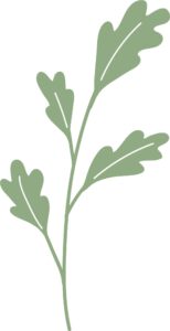 Illustration grüner Zweig