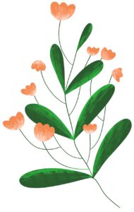 Illustration orangene Blumen